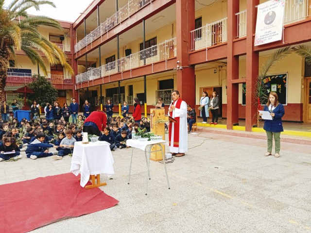 Celebración Domingo de Ramos